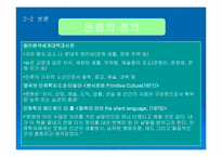 국제 광고 제작 전략에 대한 분석-13
