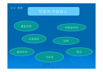 국제 광고 제작 전략에 대한 분석-14