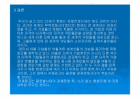국제 광고 제작 전략에 대한 분석-17