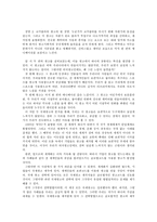 국제 광고 제작 전략에 대한 분석-2