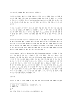 국제 광고 제작 전략에 대한 분석-5