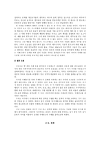 국제 광고 제작 전략에 대한 분석-7