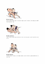 일본의 스모문화-10