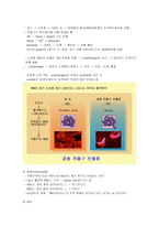 혈액(적혈구,백혈구, 혈소판)과 면역 및 혈관-7