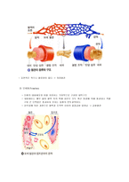 혈액(적혈구,백혈구, 혈소판)과 면역 및 혈관-20
