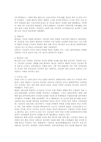 김일성에 대한 논란-8
