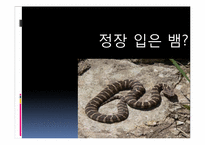 [조직행동론] 싸이코패스에 관한 고찰-1
