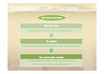[경영] SKIN FOOD의 경영사례-5