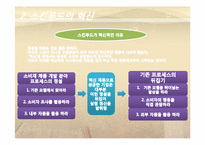 [경영] SKIN FOOD의 경영사례-12