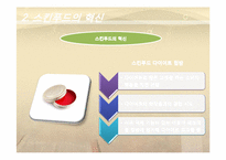 [경영] SKIN FOOD의 경영사례-15