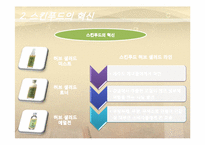 [경영] SKIN FOOD의 경영사례-16