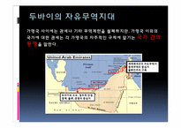 [해외투자론] 투자유치 인센티브-4