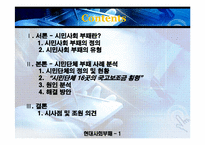 [현대사회부패문제분석] 시민사회 부패 문제의 분석(시민단체의 국고보조금 횡령 및 남용 사례)-2