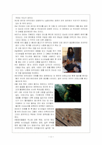 영화 섬에 대한 분석-4