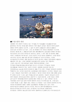 수질오염에 관한 고찰-2