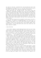 누구를 위한 종교개혁이었나?(종교의 개혁과정과 프랑스의 변화, 30년 전쟁을 중심으로)-5