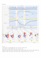 [생리학]심장 요약-2