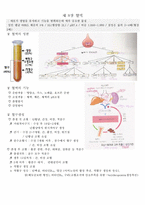 [생리학] 혈액 요약-1