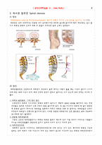 [성인간호학실습]HNP L4~5 c Spinal stenosis-2