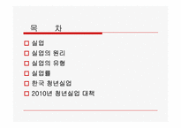 실업 및 2010년 한국의 청년실업에 관한 고찰-2