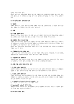 기업의 세계화와 조직(경영조직론)-5