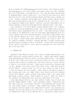 재벌위주의 사회에 대한 규제 및 대책-11