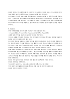 기업의 인터넷 마케팅 전략 분석-4