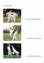 [택견]택견과 나의 역사-10
