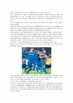 스포츠마케팅과 2010년 국내 스포츠마케팅 사례에 관한 고찰-5