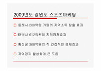 스포츠마케팅과 2010년 국내 스포츠마케팅 사례에 관한 고찰-15