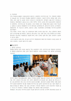 아프가니스탄 재파병에 대한 논란-3