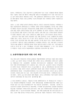 초광역권4대벨트개발의 문제점과 보완해야 할점00-7