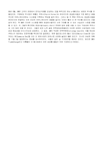 [경영]인터넷 마케팅사례(외국유명기업)-3