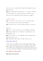 [경영]피자마케팅전략-2