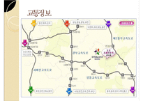 [경영]테마파크 소개-에버랜드-3