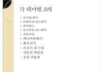 [경영]테마파크 소개-에버랜드-4