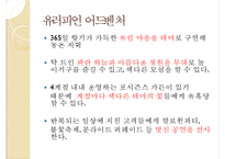 [경영]테마파크 소개-에버랜드-13