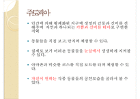 [경영]테마파크 소개-에버랜드-16
