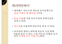 [경영]테마파크 소개-에버랜드-19