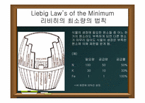 [공학]식물의 생장과 발육-3