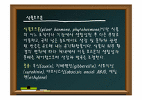 [공학]식물의 생장과 발육-12