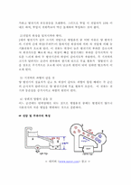 [공학]발전기 병렬운전 과정-6