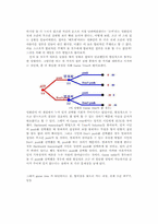 [인문]배트맨에 대해서-5
