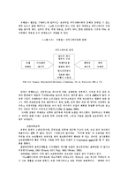 대기업의 국제적인 마케팅 전략 분석-5
