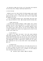대기업의 국제적인 마케팅 전략 분석-10