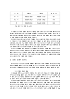 대기업의 국제적인 마케팅 전략 분석-13