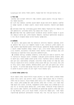 인터넷 마케팅전략 분석A+-7
