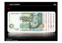 남아공에 대한 이해와 남아공 IT산업진출-6