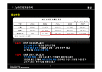 남아공에 대한 이해와 남아공 IT산업진출-9