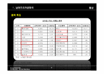 남아공에 대한 이해와 남아공 IT산업진출-10